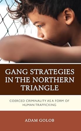 Gang Strategies in the Northern Triangle book cover